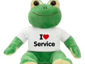 Unser Service Frosch